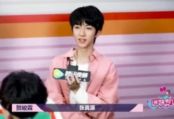 贺峻霖严浩翔最新爆料,揭秘娱乐圈不为人知的幕后故事