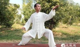 马老师爆料太极拳视频播放,太极拳视频背后的神秘力量