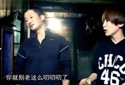 谢楠吴京爆料视频,揭秘夫妻档背后的甜蜜瞬间