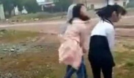 宰羊女孩爆料视频大全集,揭秘背后惊人真相