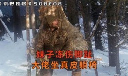 荒野生存在线观看,在线见证生存极限挑战